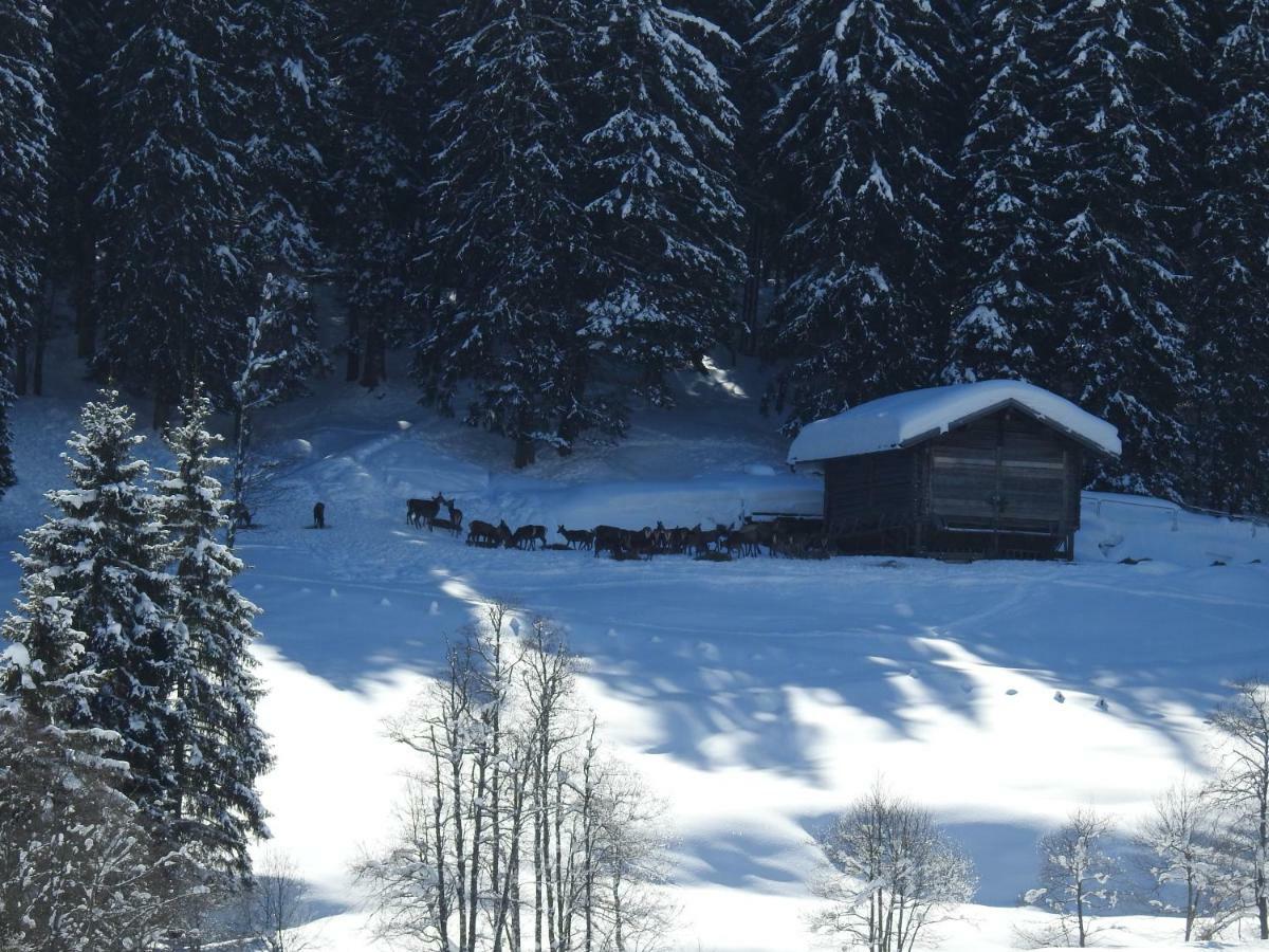 Blockhaus Ganschitter Lägenhet Grossarl Exteriör bild