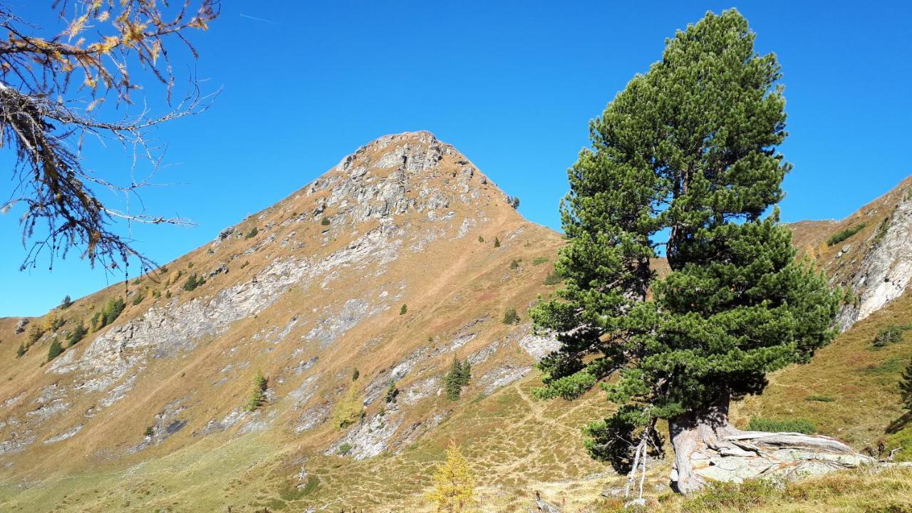 Blockhaus Ganschitter Lägenhet Grossarl Exteriör bild